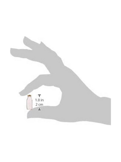 Bottle Bormioli Rocco Quattro Stagioni Transparent Glass 1 L