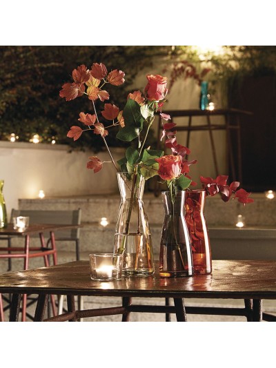 Bouteille Bormioli Rocco Ypsilon Transparent verre (500 ml) (6 Unités)