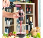Aérateur de Vin avec Filtre, Support et Pochette de Transport Wineir InnovaGoods