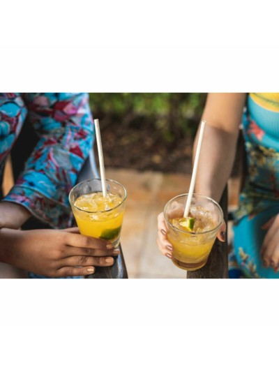 Reusable Straws Algon White Plastic 36 Units 22 cm 6 mm