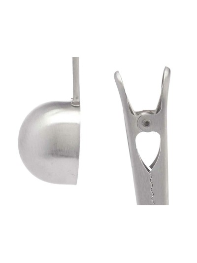 Cuillère à café Acier inoxydable 17,5 x 17,5 x 2,5 cm (24 Unités) Pince