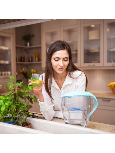 Filtro de agua Dafi POZ00020