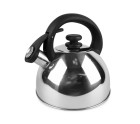 Teapot Feel Maestro MR1302 Black Stainless steel 2,5 L