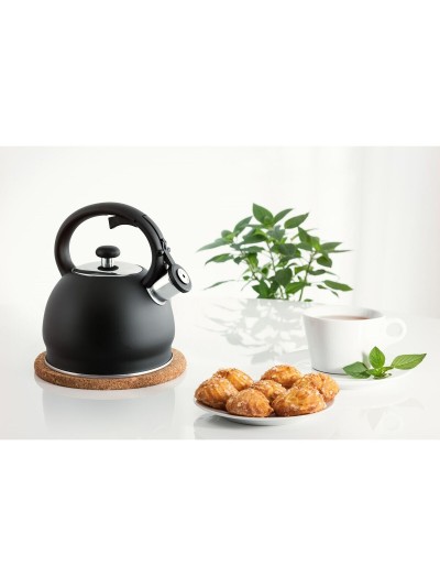 Tetera Promis TMC11 Negro Acero 1 L