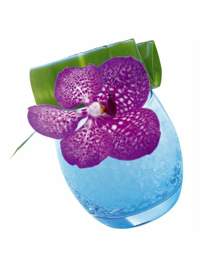 Set de Vasos Arcoroc ACC_C9688 Transparente Vidrio 320 ml 6 Piezas