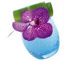 Set de Vasos Arcoroc ACC_C9688 Transparente Vidrio 320 ml 6 Piezas