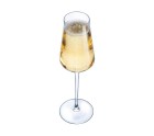 Copa de champán Chef & Sommelier Transparente Vidrio (21 cl)