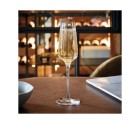 Coupe de champagne Chef & Sommelier 6 Unités Transparent verre (21 cl)