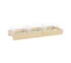 Snack tray DKD Home Decor 31,5 x 11 x 6 cm Crystal Natural 280 ml