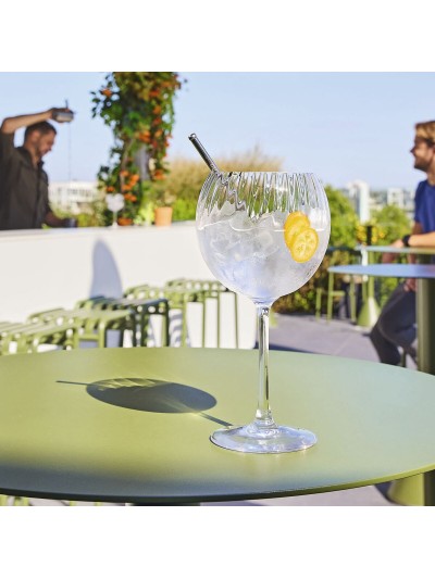 Set de Copas para Gin Tonic Chef & Sommelier Symetrie 6 Unidades Vidrio 580 ml