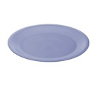 Assiette plate Bleu Rouge Vert Plastique (Reconditionné B)