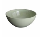 Bowl Dem Inside Plastic 1,5 L (16 Units)