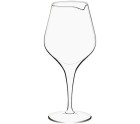 Wine glass