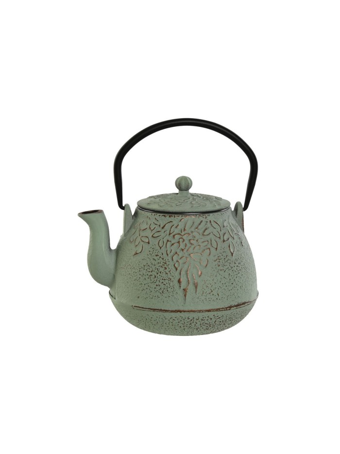 Teapot Home ESPRIT Black Green Stainless steel Iron 900 ml