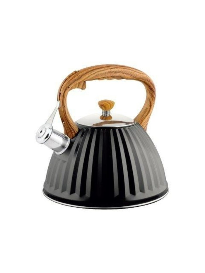 Kettle Promis TMC25D Brown Steel 3 L
