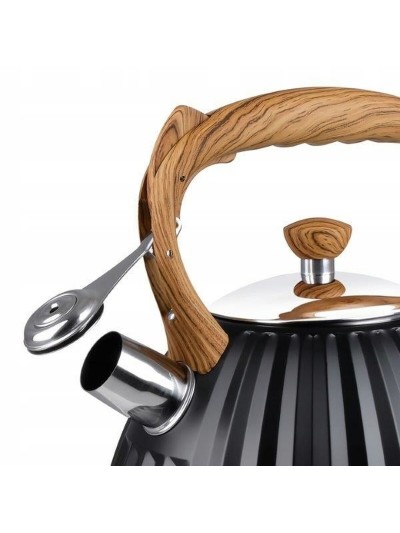 Bouilloire Promis TMC25D Marron Acier 3 L