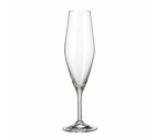 Set of cups Bohemia Crystal Galaxia champagne 210 ml 6 Units 4 Units